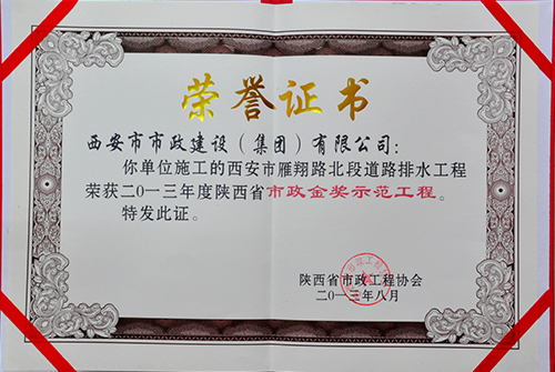 雁翔路北段-千亿国际金杯树模工程证书