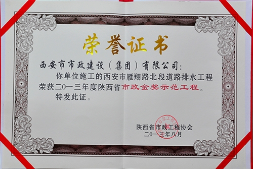 雁翔路北段-千亿国际金杯树模工程证书