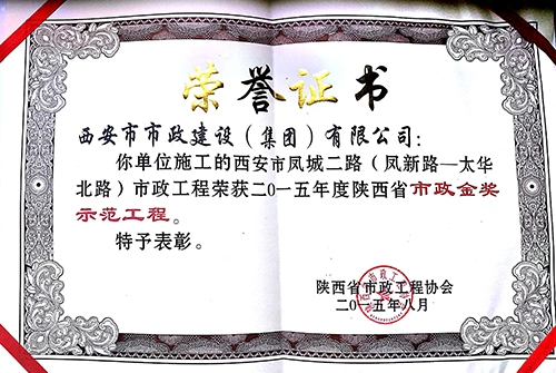 凤新路~太华路-千亿国际杯树模工程