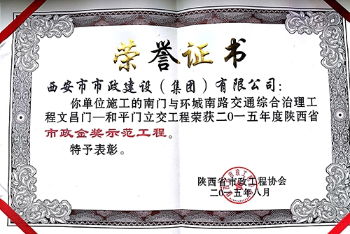 环城南路地下通道立交-千亿国际金杯树模工程