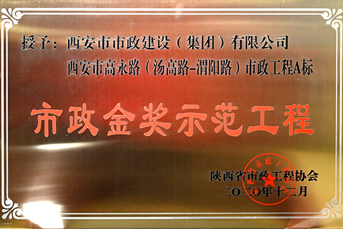 千亿国际金奖树模工程，，，，，，，，高永路