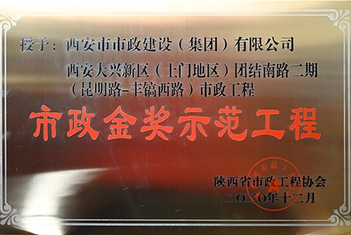 千亿国际金奖树模工程，，，，，大兴新区团结南路二期（昆明路丰镐西路）