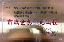 千亿国际金奖树模工程