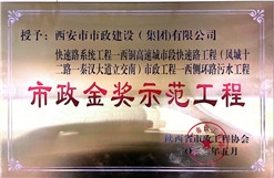 千亿国际金奖树模工程